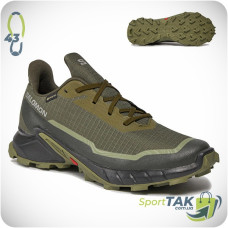 Чоловічі кросівки 43 SALOMON ALPHACROSS 5 GTX зелені